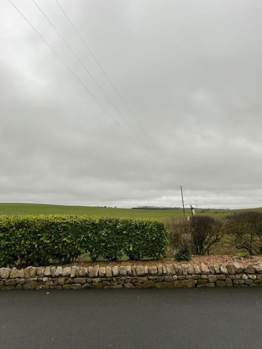 Daffodil Lodge Cockermouth Dış mekan fotoğraf