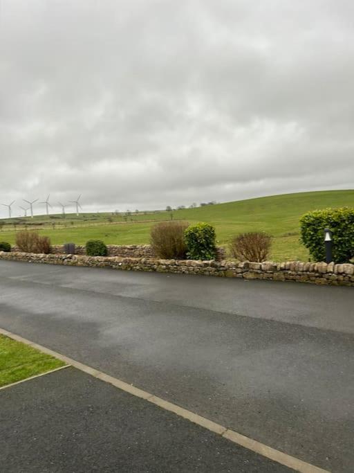 Daffodil Lodge Cockermouth Dış mekan fotoğraf
